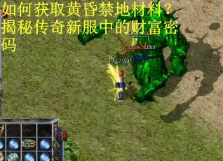 如何获取黄昏禁地材料?揭秘传奇新服中的财富密码 如何获取黄昏禁地材料?揭秘传奇新服中的财富密码