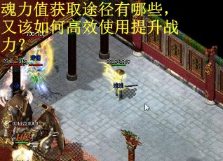 魂力值获取途径有哪些,又该如何高效使用提升战力? 魂力值获取途径有哪些,又该如何高效使用提升战力?