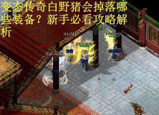 变态传奇白野猪会掉落哪些装备?新手必看攻略解析 变态传奇白野猪会掉落哪些装备?新手必看攻略解析