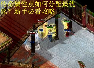 传奇属性点如何分配最优化?新手必看攻略 传奇属性点如何分配最优化?新手必看攻略