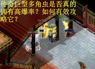 传奇巨型多角虫是否真的拥有高爆率?如何有效攻略它? 传奇巨型多角虫是否真的拥有高爆率?如何有效攻略它?