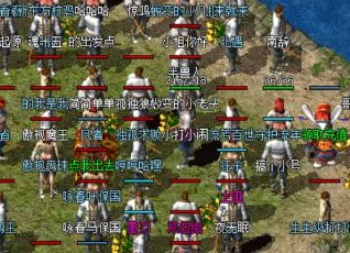 在大极品传奇里了解每个职业的特点