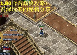 1.80合击巅峰攻略：资深玩家的秘籍分享