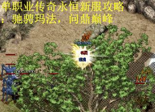 单职业传奇永恒新服攻略：驰骋玛法，问鼎巅峰