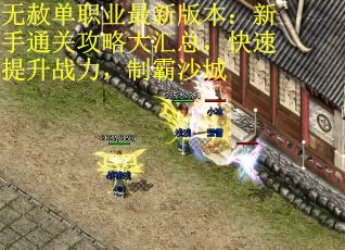 无赦单职业最新版本：新手通关攻略大汇总，快速提升战力，制霸沙城