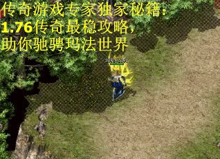 传奇游戏专家独家秘籍：1.76传奇最稳攻略，助你驰骋玛法世界