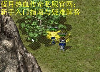 蓝月热血传奇私服官网：新手入门指南与疑难解答
