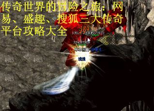 传奇世界的冒险之旅：网易、盛趣、搜狐三大传奇平台攻略大全