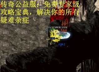 传奇公益服：免费专家级攻略宝典，解决你的所有疑难杂症