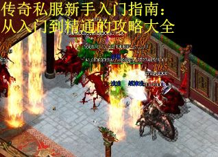 传奇私服新手入门指南：从入门到精通的攻略大全