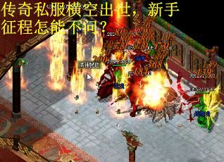 传奇私服横空出世，新手征程怎能不问？