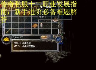 传奇私服十二职业发展指南：新手进阶必备难题解答