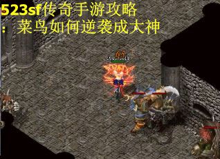 523sf传奇手游攻略：菜鸟如何逆袭成大神
