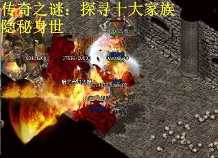 传奇之谜：探寻十大家族隐秘身世