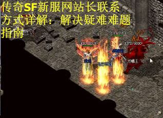 传奇SF新服网站长联系方式详解：解决疑难难题指南