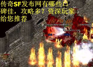 传奇SF发布网有哪些口碑佳，攻略多？资深玩家给您推荐