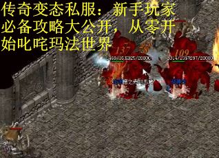 传奇变态私服：新手玩家必备攻略大公开，从零开始叱咤玛法世界