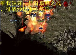 唯我独尊：传奇巅峰之战，征战沙场谁主沉浮