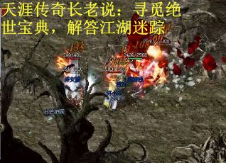天涯传奇长老说：寻觅绝世宝典，解答江湖迷踪