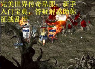 完美世界传奇私服：新手入门宝典，答疑解惑助你征战乱世