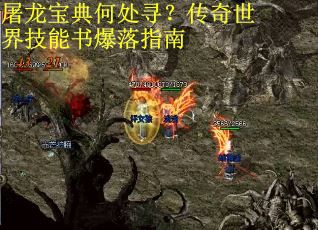 屠龙宝典何处寻？传奇世界技能书爆落指南
