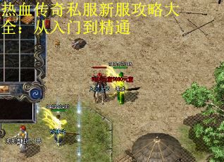 热血传奇私服新服攻略大全：从入门到精通