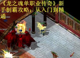 《龙之魂单职业传奇》新手制霸攻略：从入门到精通