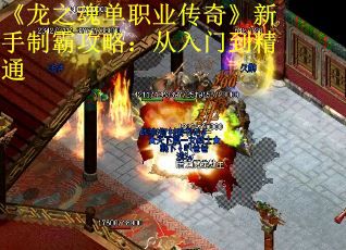 《龙之魂单职业传奇》新手制霸攻略：从入门到精通