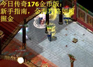 今日传奇176金币版：新手指南，金海攻略如何掘金