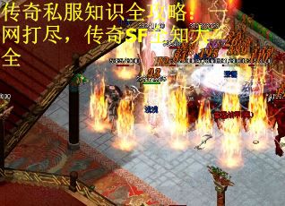 传奇私服知识全攻略：一网打尽，传奇SF全知大全