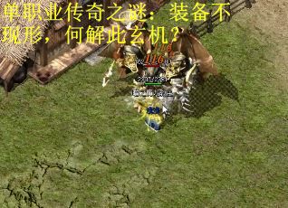 单职业传奇之谜：装备不现形，何解此玄机？