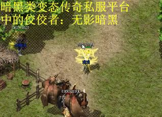 暗黑类变态传奇私服平台中的佼佼者：无影暗黑
