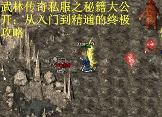 武林传奇私服之秘籍大公开：从入门到精通的终极攻略