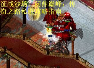 征战沙场，问鼎巅峰：传奇之路私服攻略指南