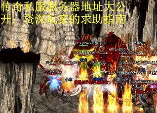传奇私服服务器地址大公开：资深玩家的求助指南
