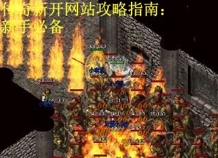 传奇新开网站攻略指南：新手必备