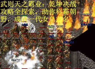 武则天之霸业：乾坤决战攻略全探索，助你称霸朝野，成就一代女皇之名