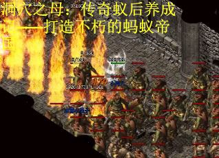 洞穴之母：传奇蚁后养成记——打造不朽的蚂蚁帝国