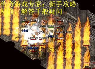 传奇游戏专家：新手攻略秘籍，解答千般疑问