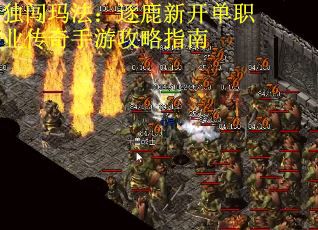 独闯玛法：逐鹿新开单职业传奇手游攻略指南