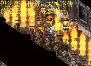 玛法变态传奇：大神不传的逆天秘籍，寻求指点