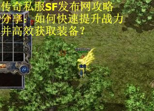 传奇私服SF发布网攻略分享:如何快速提升战力并高效获取装备?