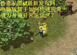 传奇私服sf最新发布网电脑版新手如何快速提升战力并避开常见误区?