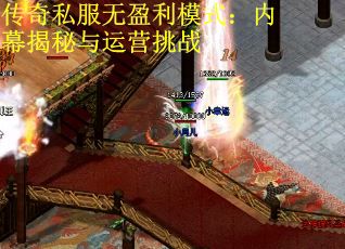传奇私服无盈利模式：内幕揭秘与运营挑战