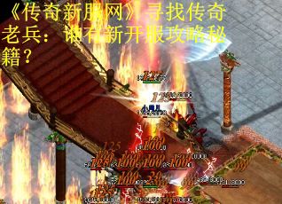 《传奇新服网》寻找传奇老兵：谁有新开服攻略秘籍？