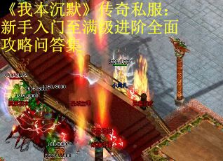 《我本沉默》传奇私服：新手入门至满级进阶全面攻略问答集
