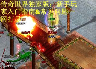 传奇世界独家版：新手玩家入门指南&常见问题一网打尽