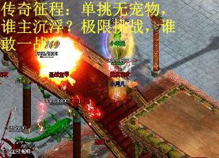 传奇征程：单挑无宠物，谁主沉浮？极限挑战，谁敢一战？