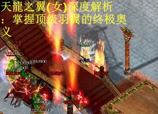 天龍之翼(女)深度解析：掌握顶级羽翼的终极奥义