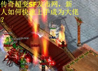 传奇超变SF发布网，新人如何快速上手成为大佬？